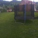 між тростяном та рікою Feriehus Slavske